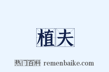 植夫是什么意思的图片